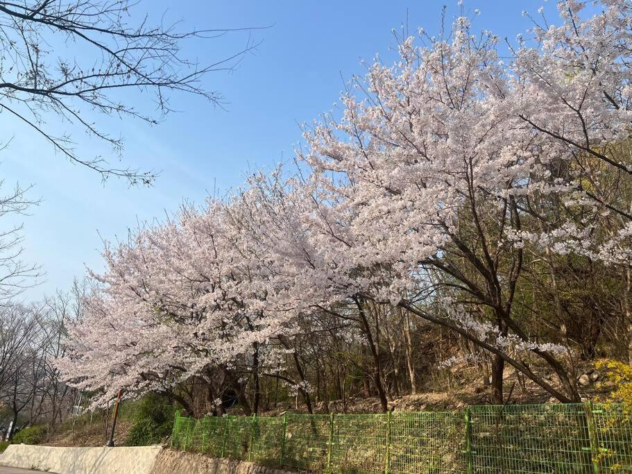 Villa Seohuri Pension Yangpyeong Exterior foto