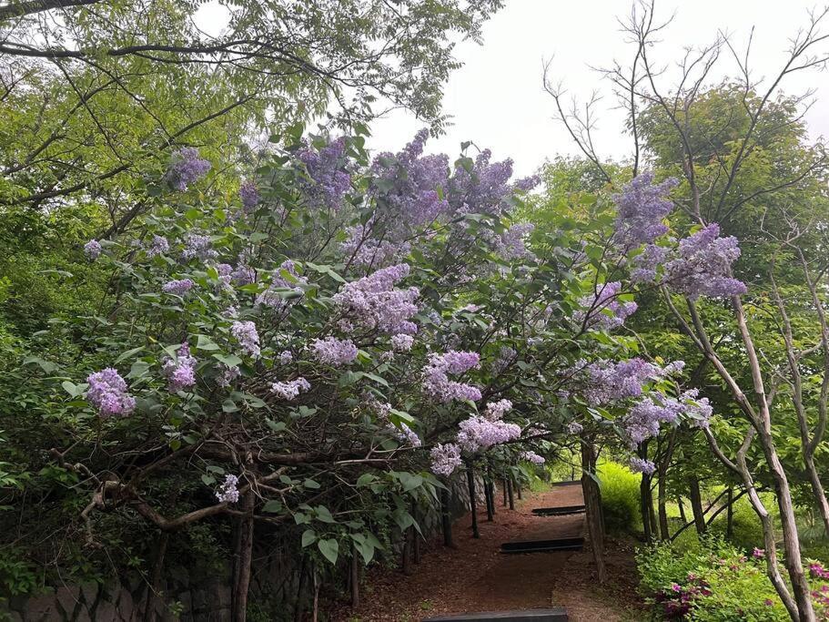 Villa Seohuri Pension Yangpyeong Exterior foto